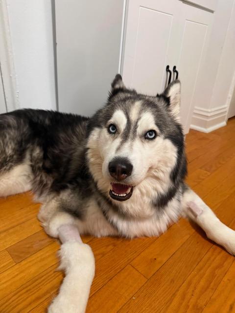 JAKE, photo 7
