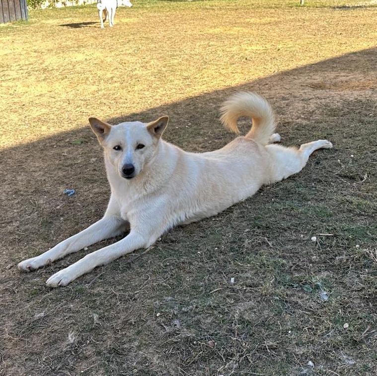 SUGAR, photo 3