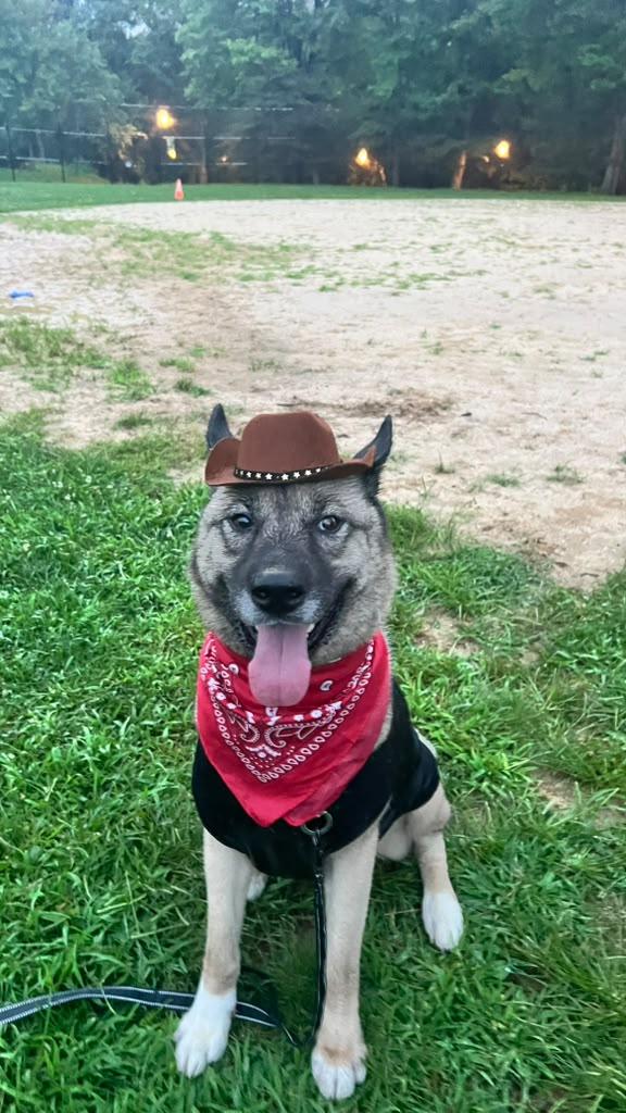 MAX, photo 2