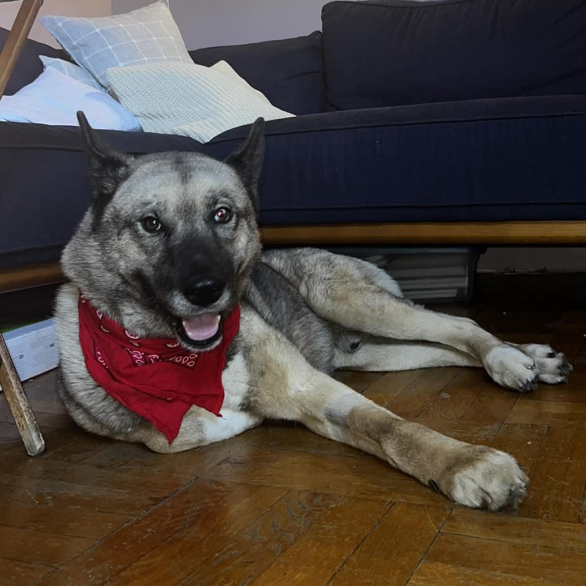 MAX, photo 4