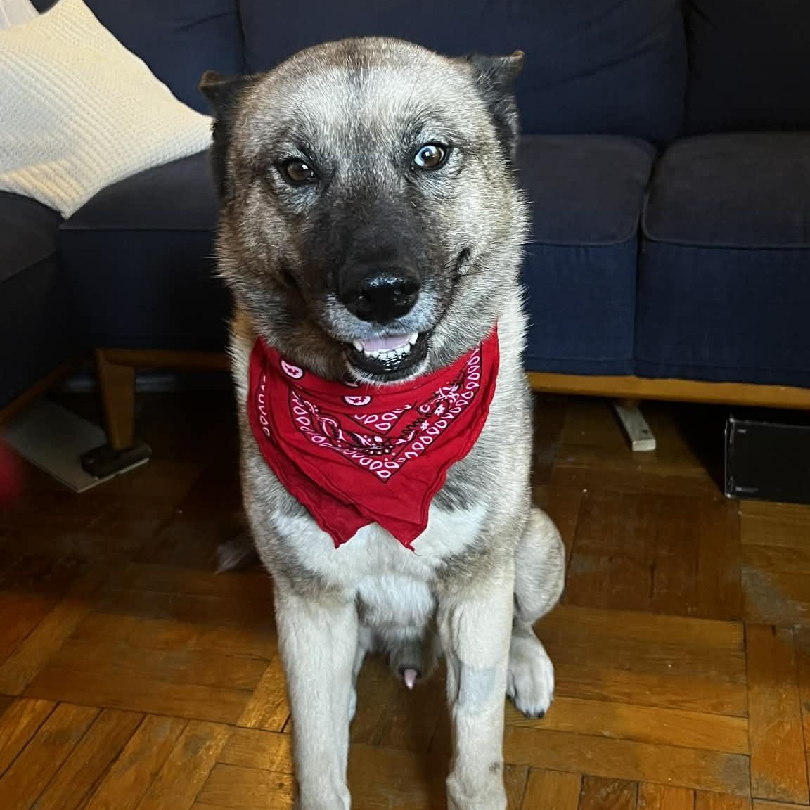 MAX, photo 5