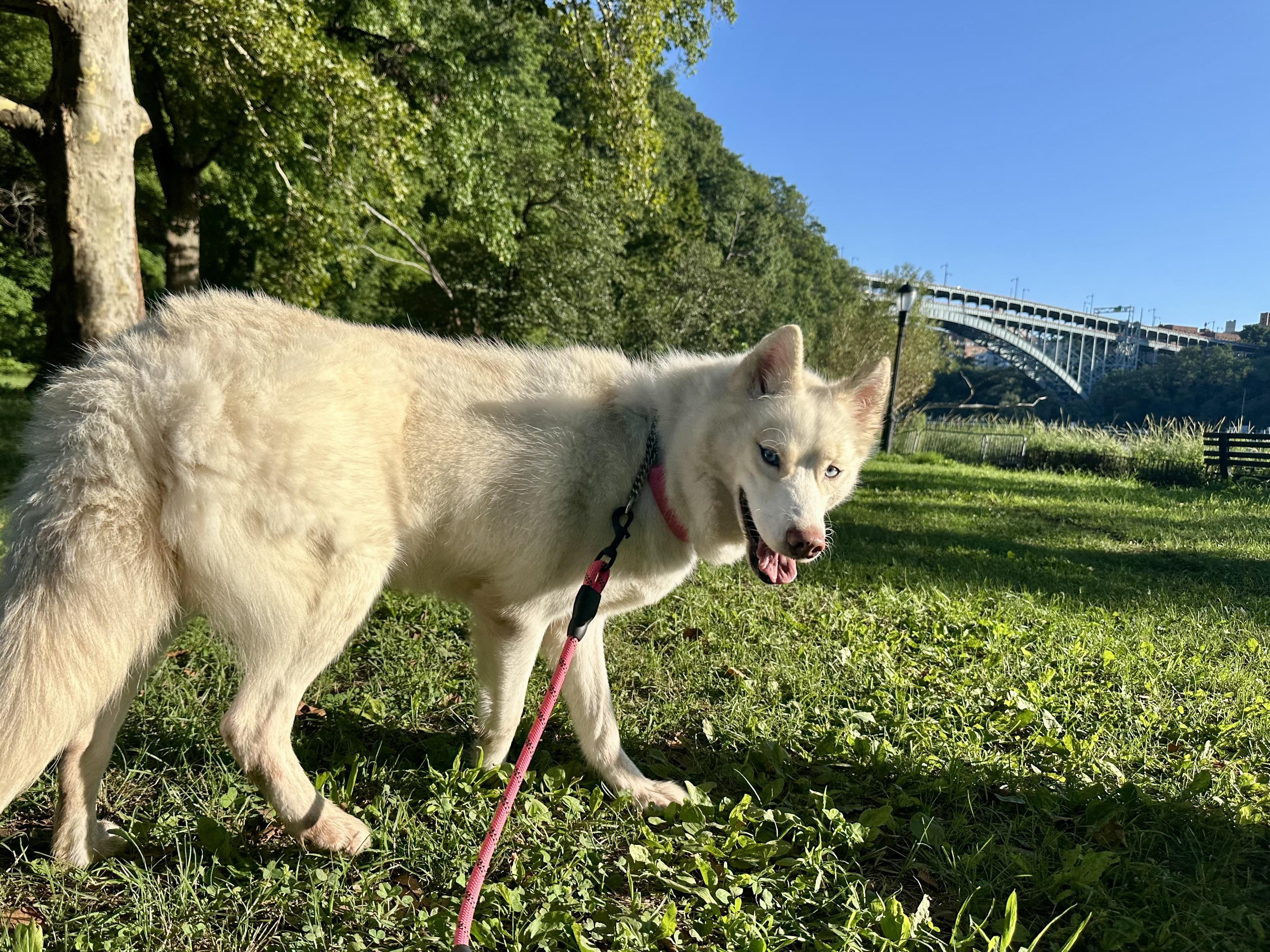 JILLY, photo 5