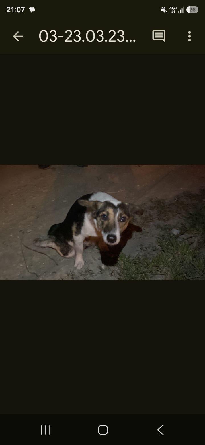 ABBY, photo 2