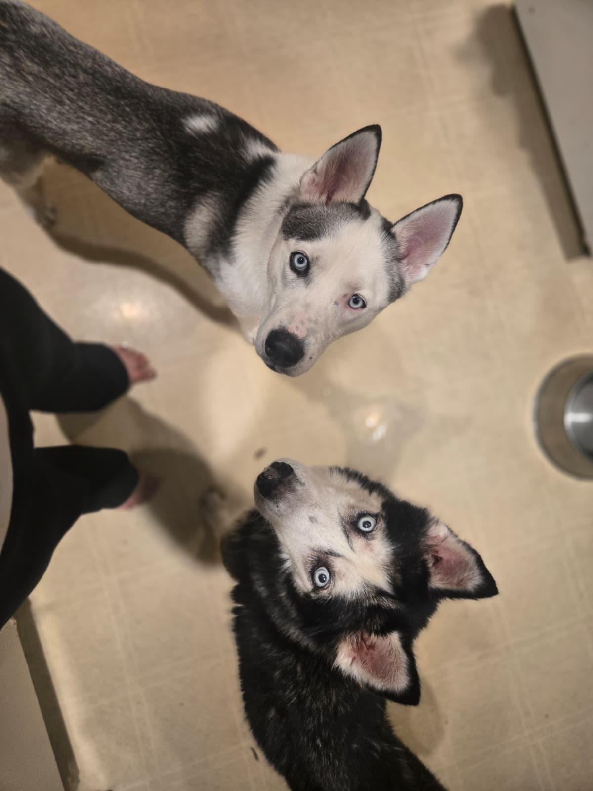 FLOKI, photo 5