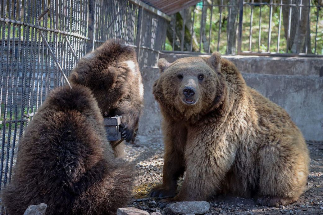 Sanctuary Is a Lifetime Promise