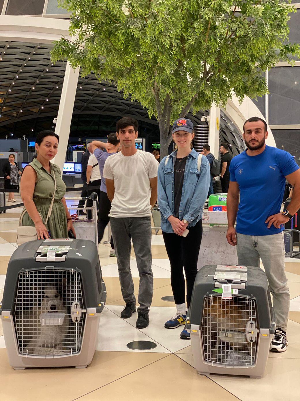 Four GWARP volunteers standing with two rescued dogs in airline travel crates at Baku airport