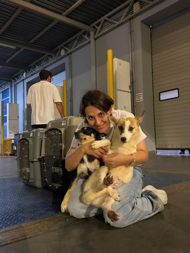 Stella and Tasha Are in Canada
