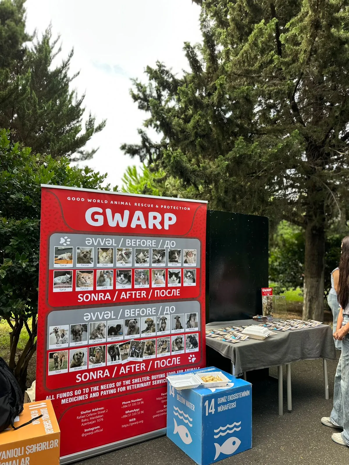 GWARP’s stand at a community event in Azerbaijan, showing a before-and-after banner of rescued cats and dogs